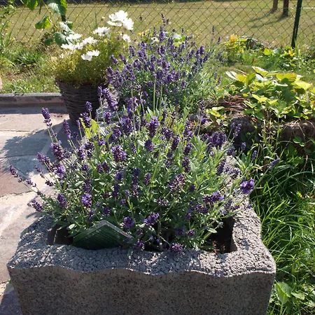 Bed Taste Düsseldorf