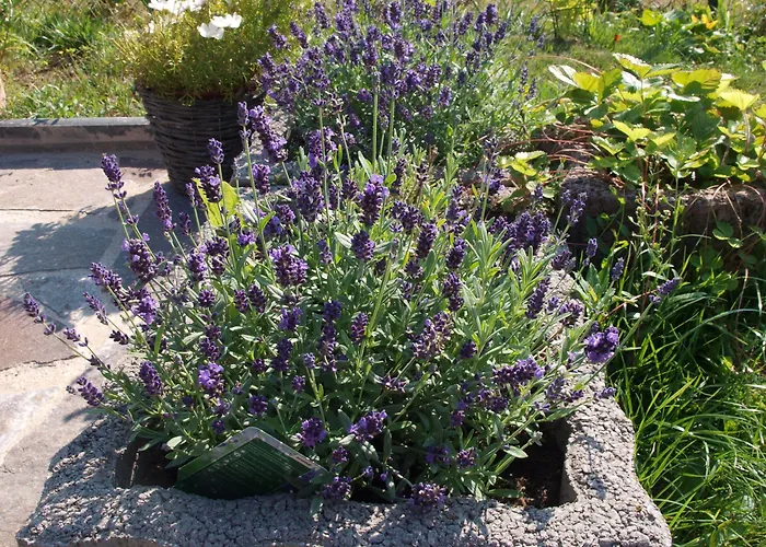 Bed Taste Düsseldorf