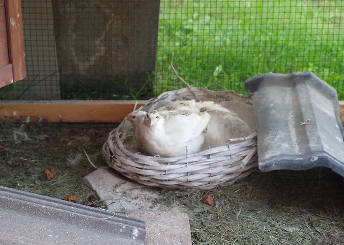 Bed Taste Konukevi Düsseldorf