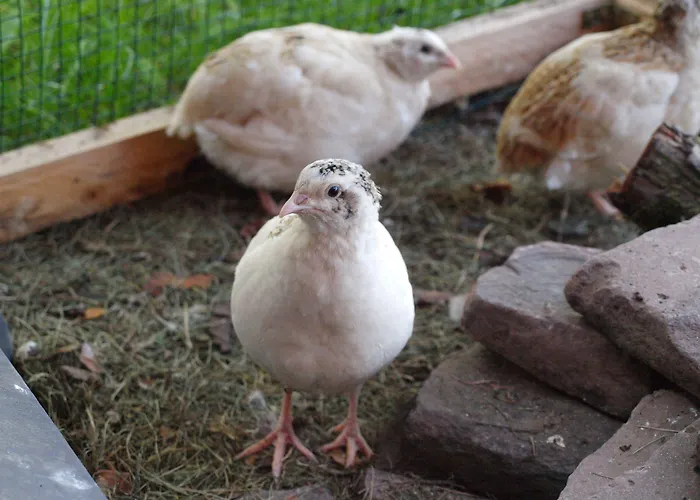 Bed Taste 3* דיסלדורף